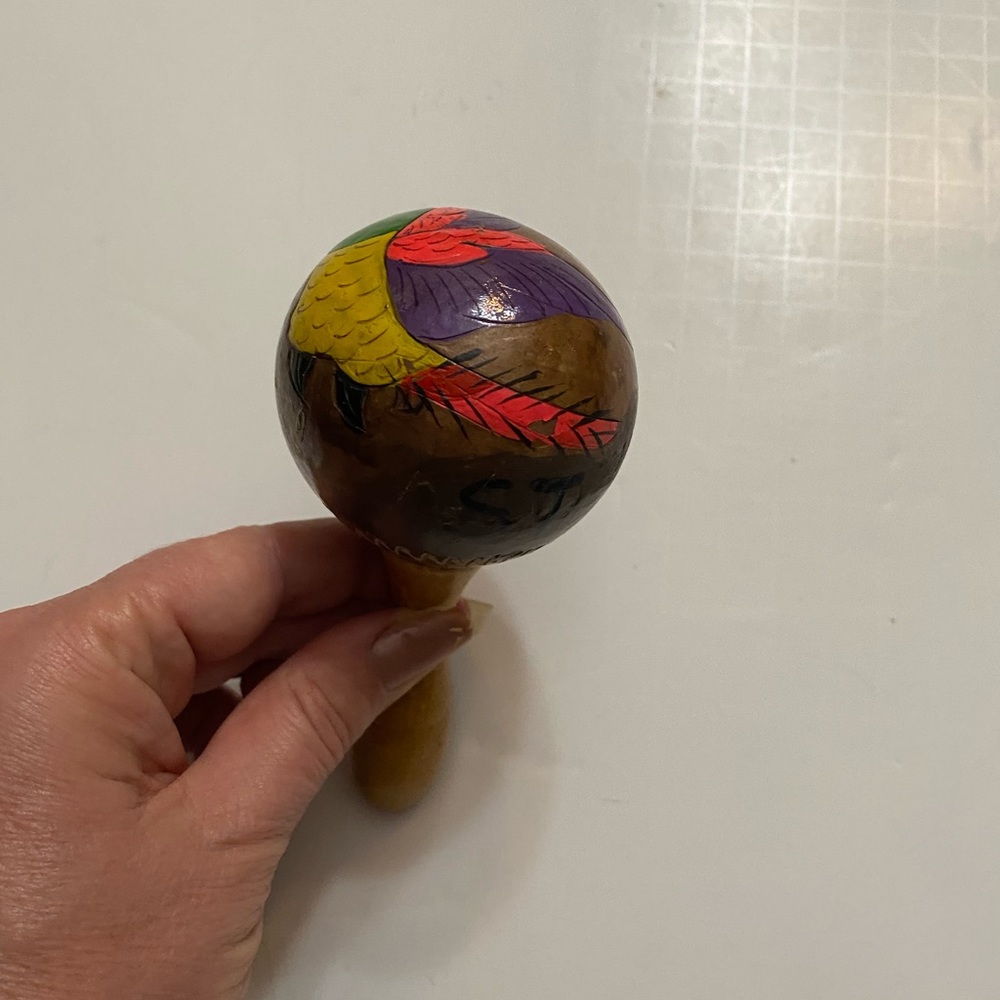 Hand Painted Coconut Rattle parrot - Picture 5 of 10